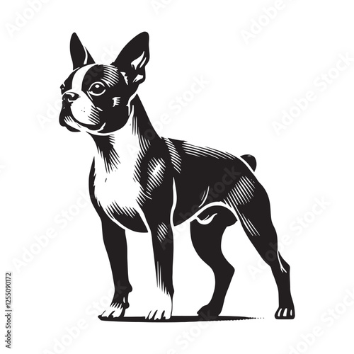 Boston Terrier silhouette emphasizing agility and compact shape - Boston Terrier illustration - minimalist Boston Terrier vector - dog silhouette

