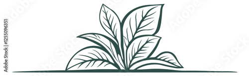 green illustration of plants or leaves without background