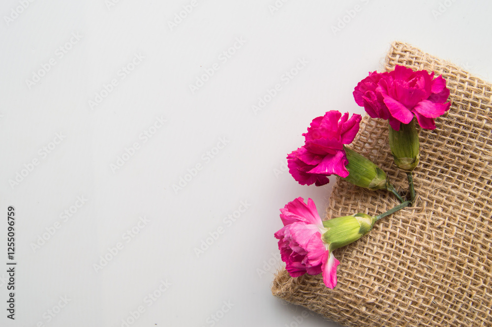 Fototapeta premium Spring layout for a creative greeting card, three pink carnations on a burlap and a place for text, the concept of design of a greeting card for mother's Day