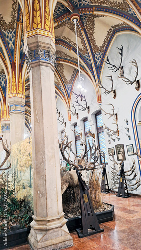 Halls inside the Museum of Hungarian Agriculture with exhibitions showing the history of Hungarian agriculture. Vajdahunyad Castle, City Park, Budapest, Hungary, Europe photo