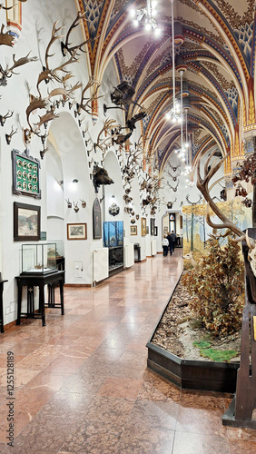 Halls inside the Museum of Hungarian Agriculture with exhibitions showing the history of Hungarian agriculture. Vajdahunyad Castle, City Park, Budapest, Hungary, Europe