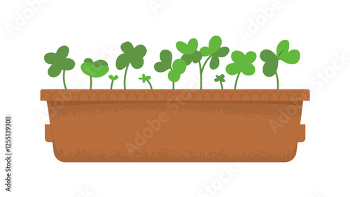 Box with seedlings of microgreens. Seasonings for cooking. Harvesting, vitamins in greens and vegetables. Home garden. Spring seedlings. Vector illustration isolated on transparent background.