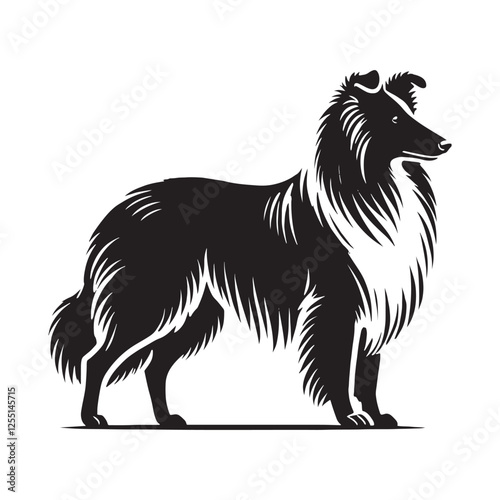 Classic Collie silhouette featuring a well-defined stance - Collie illustration - minimal Collie vector - dog silhouette
