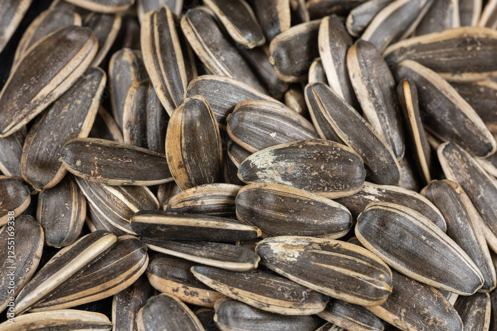 Black Sunflower Seeds Full Frame View background Black Sunflower Seeds Full Frame View background