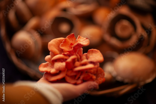 Food,