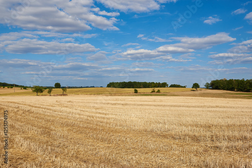 Sommer 2022 in Sachsen	 photo