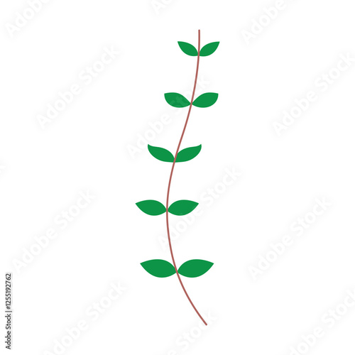 Plant Stem with Green Leaves