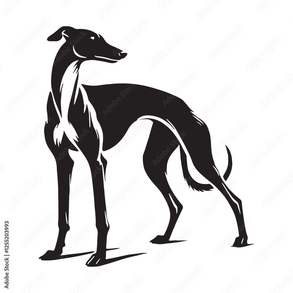 Stylish and modern Greyhound silhouette perfect for logos - Greyhound illustration - minimal Greyhound vector - dog silhouette
Stylish and modern Greyhound silhouette perfect for logos - Greyhound illustration - minimal Greyhound vector - dog silhouette