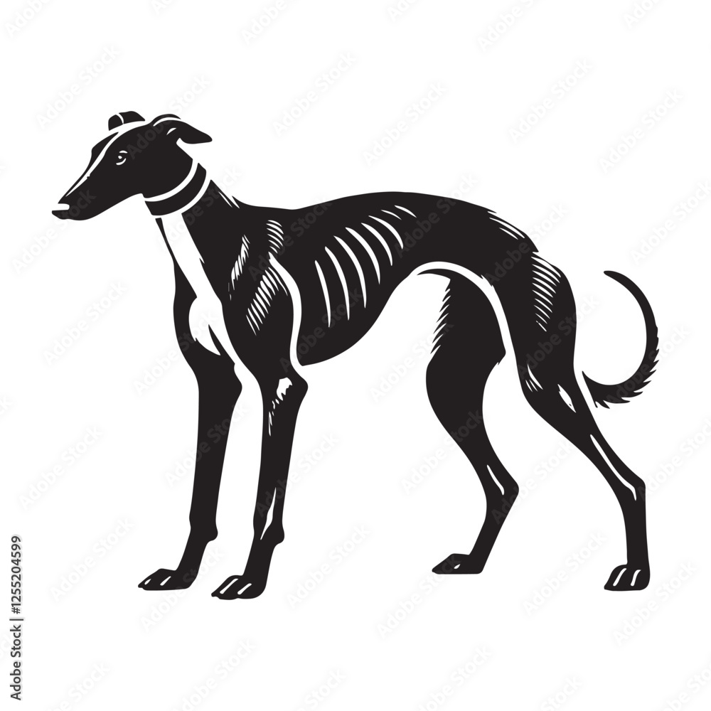 Obraz premium Premium Greyhound silhouette emphasizing sleek movement - Greyhound illustration - minimal Greyhound vector - dog silhouette 