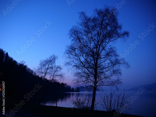 The silhouette of a tree and its branches in winter during the blue hour along the Thoun Lake. Switzerland - February 9, 2025.