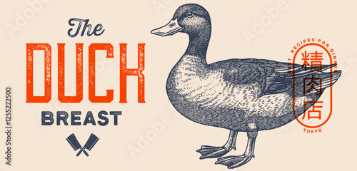 Duck, mallard sketch. Hand drawn sketch. Meat tag, food label template. Vintage retro print, black white Duck, mallard drake drawing. Silhouette duck, mallard drake. Vector Illustration