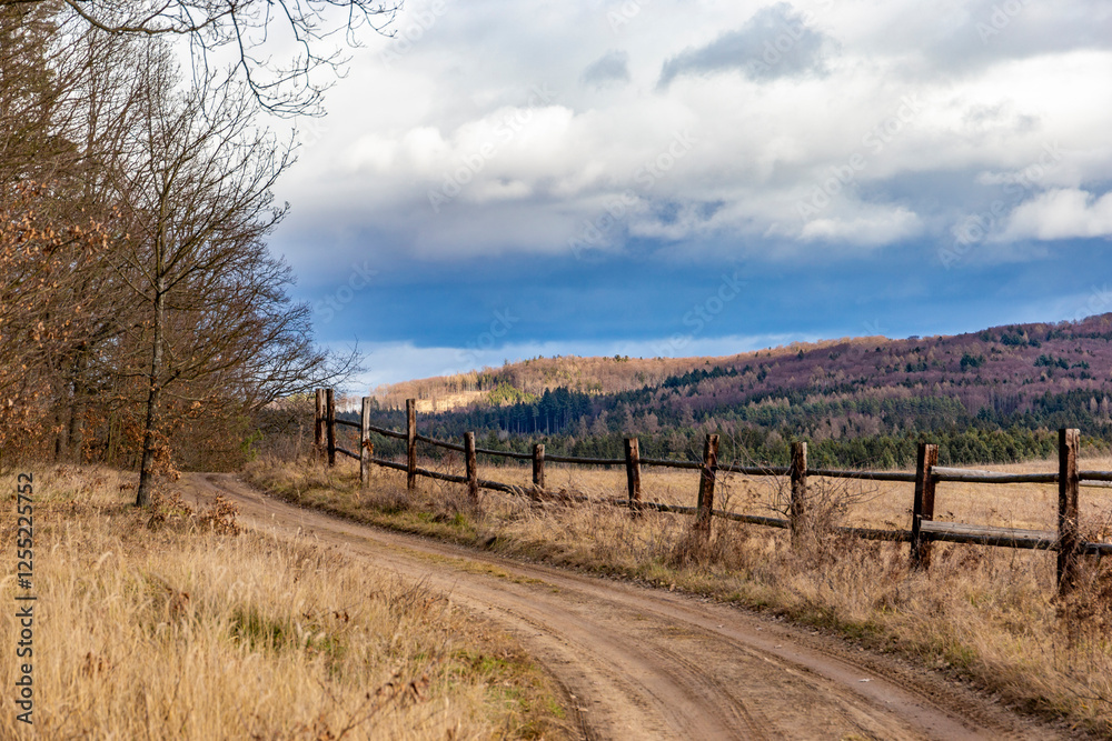A dirt road in the hills. Early spring. Czechia