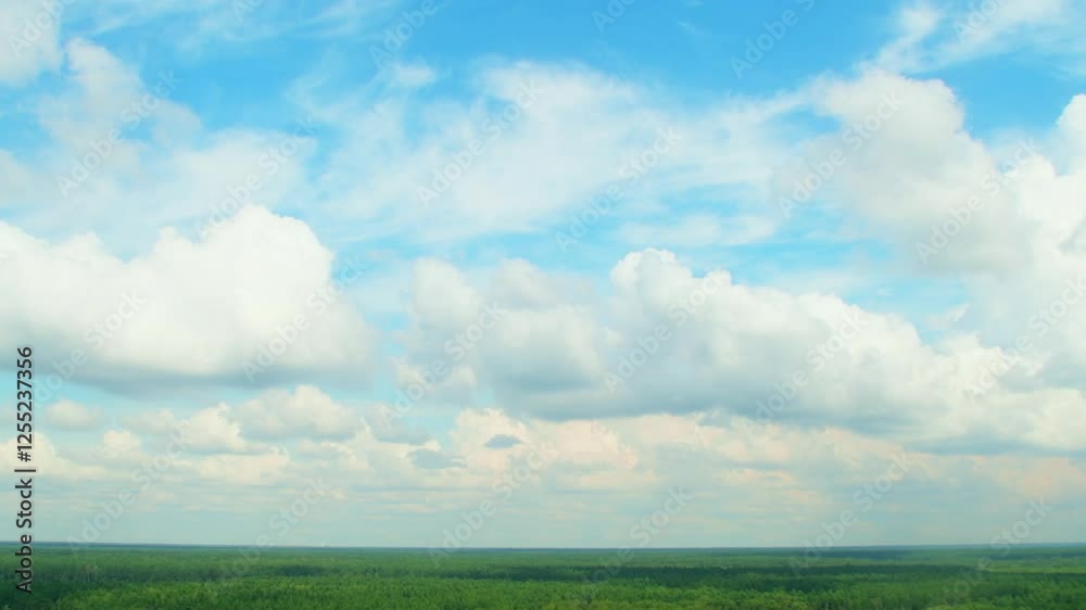Sky above a green forest. White cumulus clouds move above the trees leaving shadows on the ground.