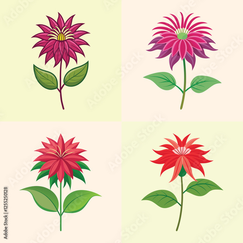 Illustration of Bee Balm Flowers in Four Styles - A vibrant illustration showcasing four variations of bee balm flowers with pink, red, and purple petals and green leaves.

