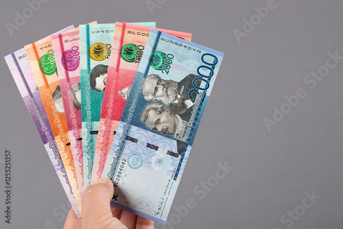 Obraz na płótnie Dominican money in the hand on a gray background