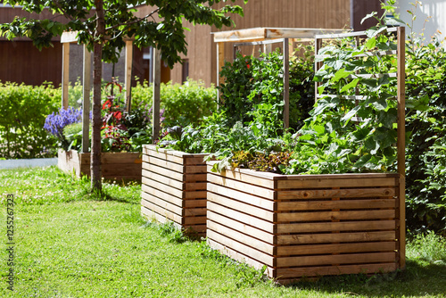 Raised Beds Garden for Growing Vegetables Herbs Flowers. Modern Garden Vegetable Patch in Urban Community Garden.