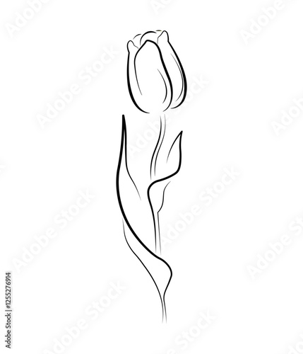 spring flower one line art. spring tulip. march 8. international women's day