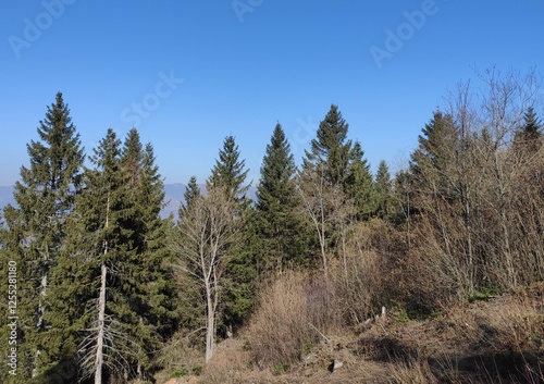 Trebević mountain, Sarajevo.
Trebević is the closest mountain that is reachable via the cable car from the heart of Stari Grad (Old Town), from the neighborhood of Bistrik. 