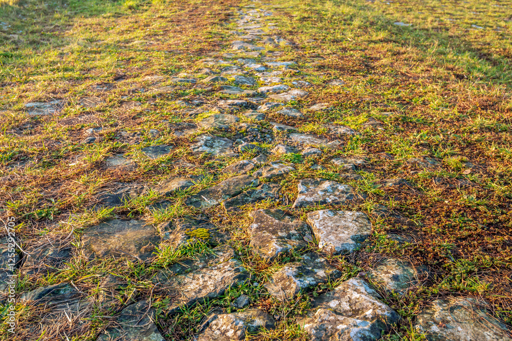 Closeup of a path of rough stones overgrown with grass and wild plants. The path is on top of a Dutch dike.