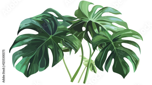 Close-up studio shot of three Monstera deliciosa leaves against a pure white background.  The image features highly detailed rendering of the leaves, showcasing their characteristic deep