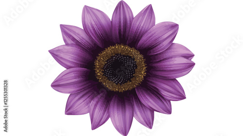 A detailed close-up image showcases a single purple sunflower blossom against a plain white background.  The flower exhibits a multitude of slender, pointed petals radiating from a dark