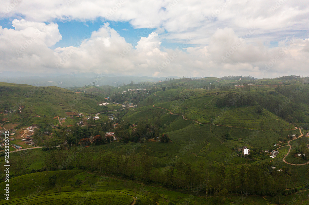 Aerial drone of village among tea plantations. Houses of farmers growing tea. Tea estate landscape. Maskeliya. Aerial drone of village among tea plantations. Houses of farmers growing tea. Tea estate landscape. Maskeliya.