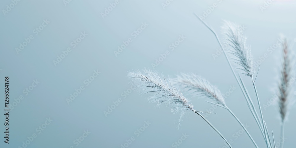 A minimalistic composition with a soft grey-blue backdrop, Delicate lines and subtle textures, Elegant minimalist style A minimalistic composition with a soft grey-blue backdrop, Delicate lines and subtle textures, Elegant minimalist style