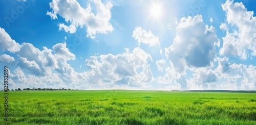 Fototapeta Naklejka Na Ścianę i Meble -  endless green field with young grass and blue sky with white clouds meadow blue sky cloud springtime or summer atmosphere