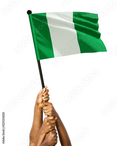 Many different group black African hands holding lifting raising Nigerian national flag isolated over white background. Stretching arms for flag. Togetherness, unity independence day celebration