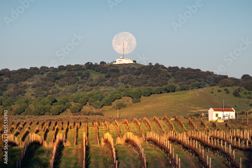 Lua durante o dia em zona rural photo