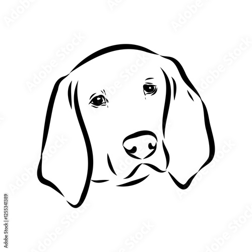 Porcelaine dog isolated on white background. Hand drawn dog breed vector sketch.