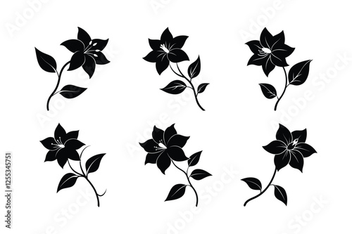 Clematis (Clematis spp.) silhouette vector art illustration