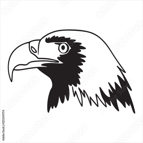 Steller's Sea Eagle – Powerful Predator of Coastal Regions
