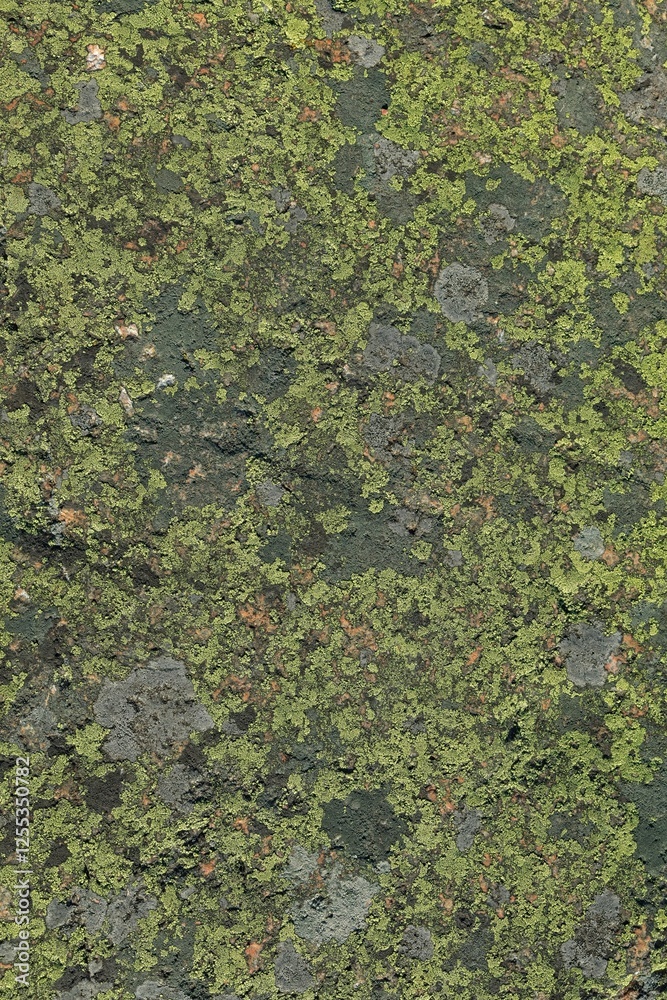 Closeup of lichen on rock surface, texture background. Closeup of lichen on rock surface, texture background.