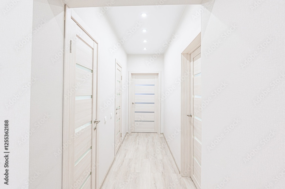 Fototapeta premium standard room interior apartment. room doors, renovation corridor lobby entrance hall
