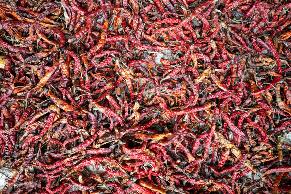 Fototapeta premium Dry Cabai rawit (Capsicum frutescens), a wild hot chili pepper for cooking