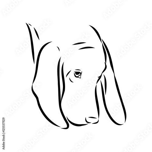 Porcelaine dog isolated on white background. Hand drawn dog breed vector sketch.