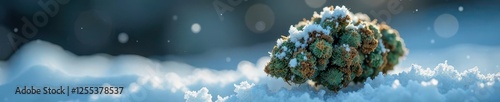 Single cannabis nug with frost or ice coating, winter, bud photo