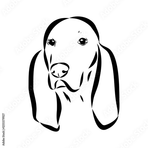 Porcelaine dog isolated on white background. Hand drawn dog breed vector sketch.