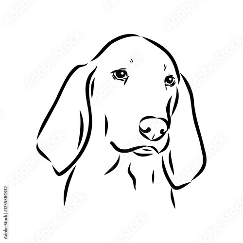 Porcelaine dog isolated on white background. Hand drawn dog breed vector sketch.