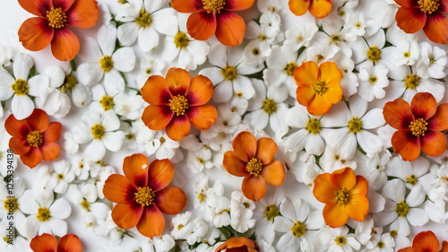 Spring Bouquet Floral Design - Red and Orange Small Flowers on White for Printing