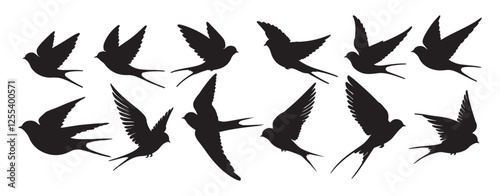 set of hand drawn  Swallows silhouette isolated on white background. Bundle silhouette.
