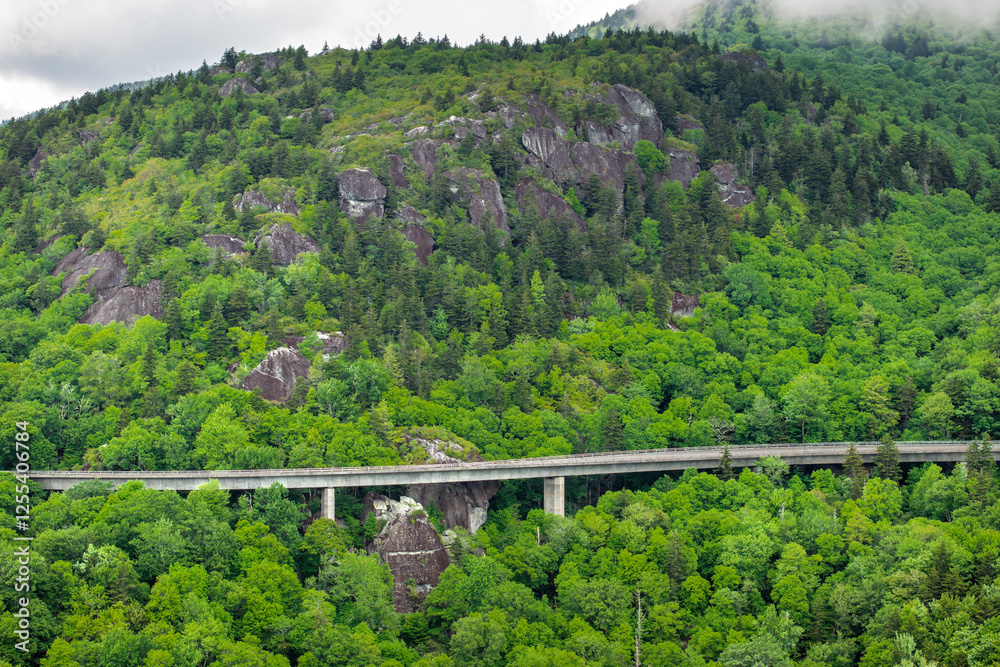 Blue Ridge Parkway road trip. Linn Cove Viaduct driving. Car exploration travel in summer forest on Appalachian mountain hills in North Carolina. Summertime landscape of beautiful nature Blue Ridge Parkway road trip. Linn Cove Viaduct driving. Car exploration travel in summer forest on Appalachian mountain hills in North Carolina. Summertime landscape of beautiful nature