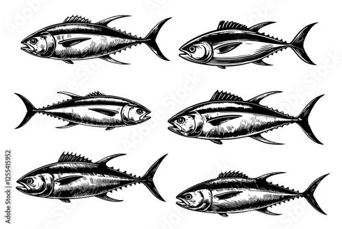 Vector tuna fish set