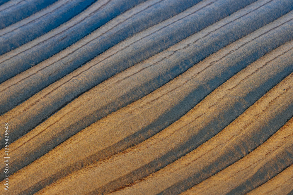 Close-up of wet sand ripples with dark and light patterns formed by receding water, creating a textured and natural abstract design. A mix of golden, brown, and blue tones enhances the contrast. Close-up of wet sand ripples with dark and light patterns formed by receding water, creating a textured and natural abstract design. A mix of golden, brown, and blue tones enhances the contrast.