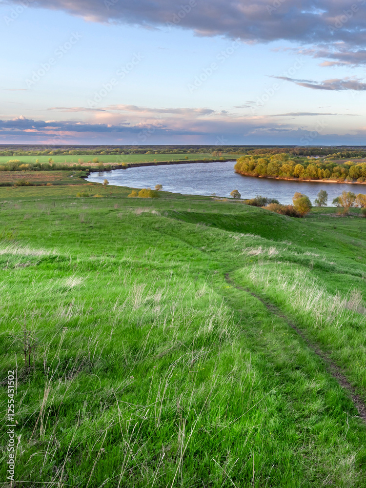 Naklejka premium Beautiful green field with a river running through it