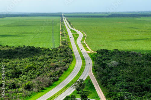 Sugarcane Plantation Replacing Atlantic Forest in Paraíba, Brazil, on July 2, 2008. photo