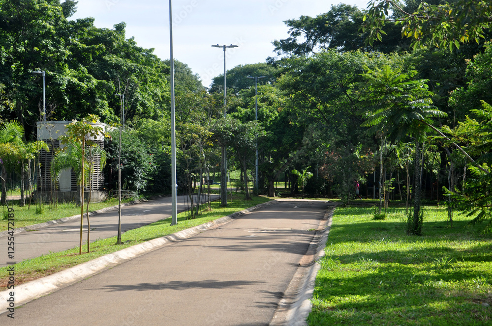 Obraz premium Pq. Bicicletas - Moema- São Paulo 