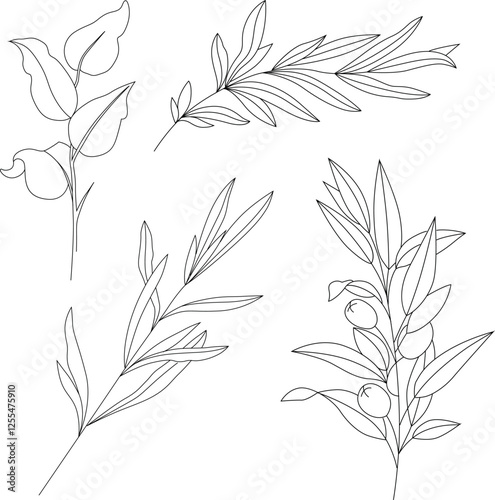Vector drawing of branches with leaves and olive tree branch in graphic sketch style