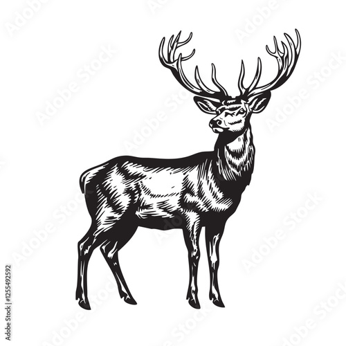 Detailed monochrome vector of a standing deer, majestic antlers, elegant, wild animal, nature, ideal for logos, prints, hunting themes. Easy editable layere, Wildlife Animals.